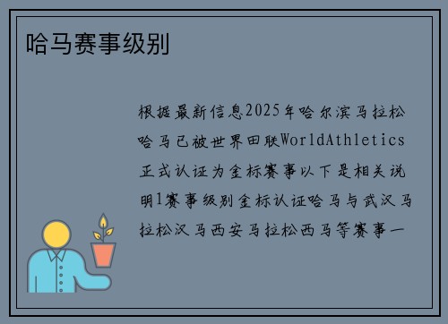 哈马赛事级别
